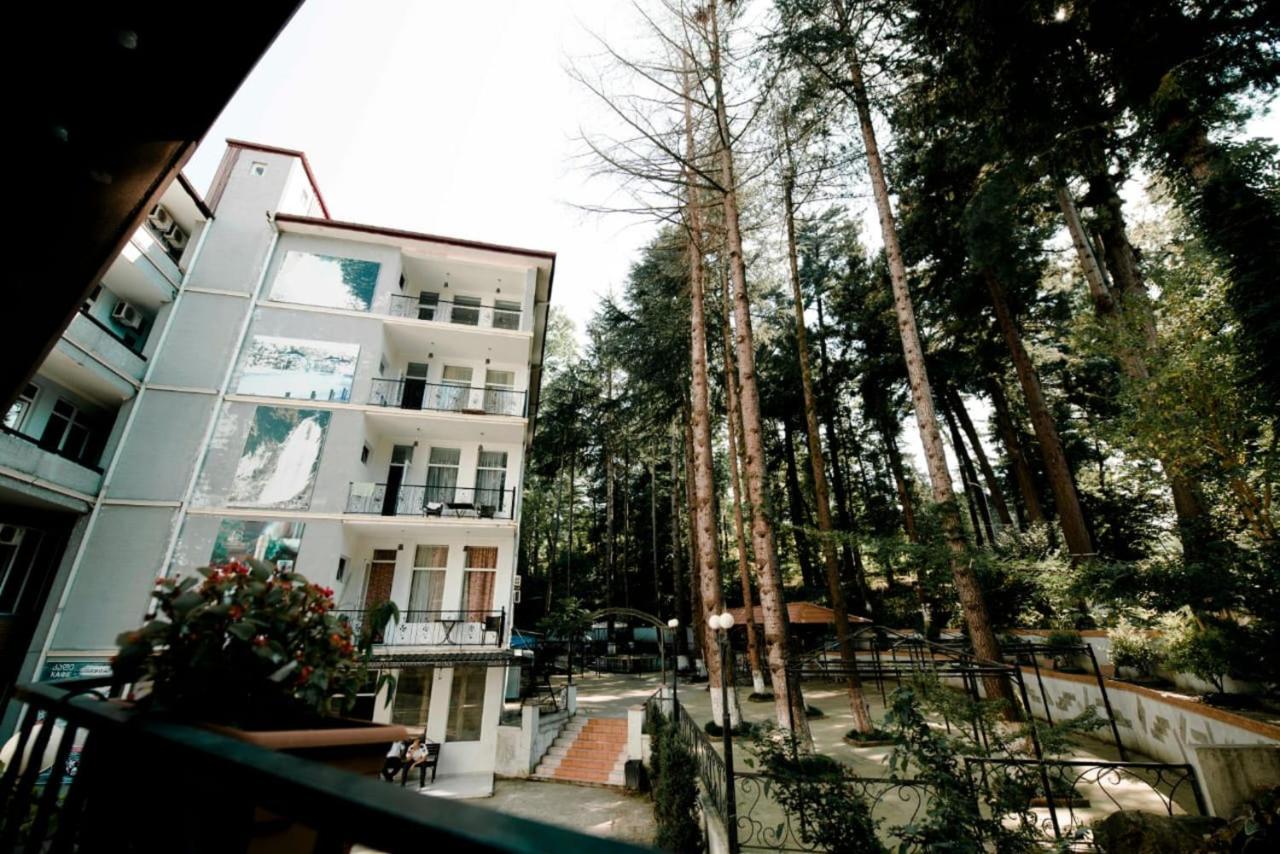 Hulus Hotel マヒンジャウリ エクステリア 写真